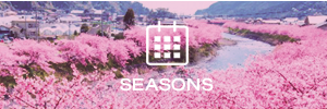 Seasonal