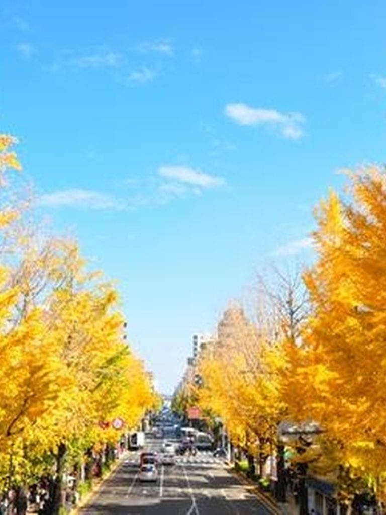 Route-Finder_resize-768x10241